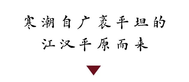 DƬ